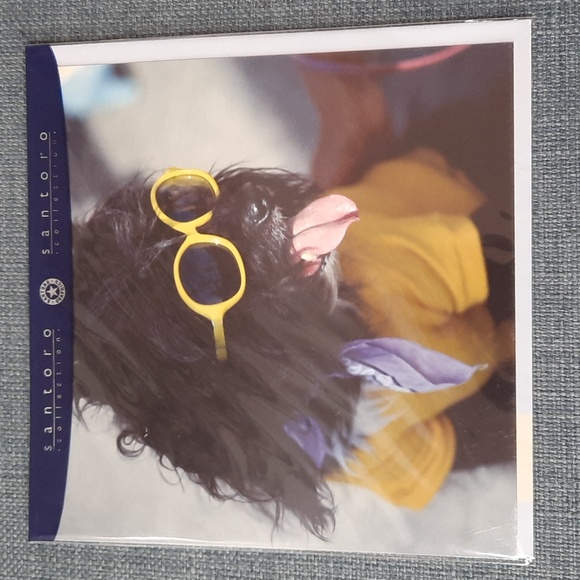 Greeting Cards 7 Pieces Assorted Adult Blank Fun Silly Pictures NWT - Picture 4 of 8